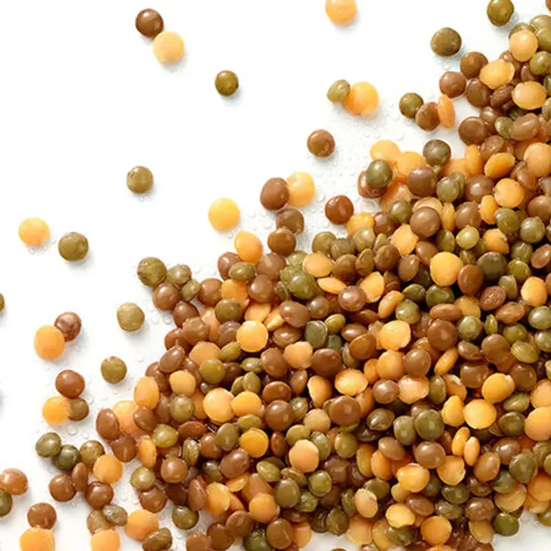JR Lentil Mix